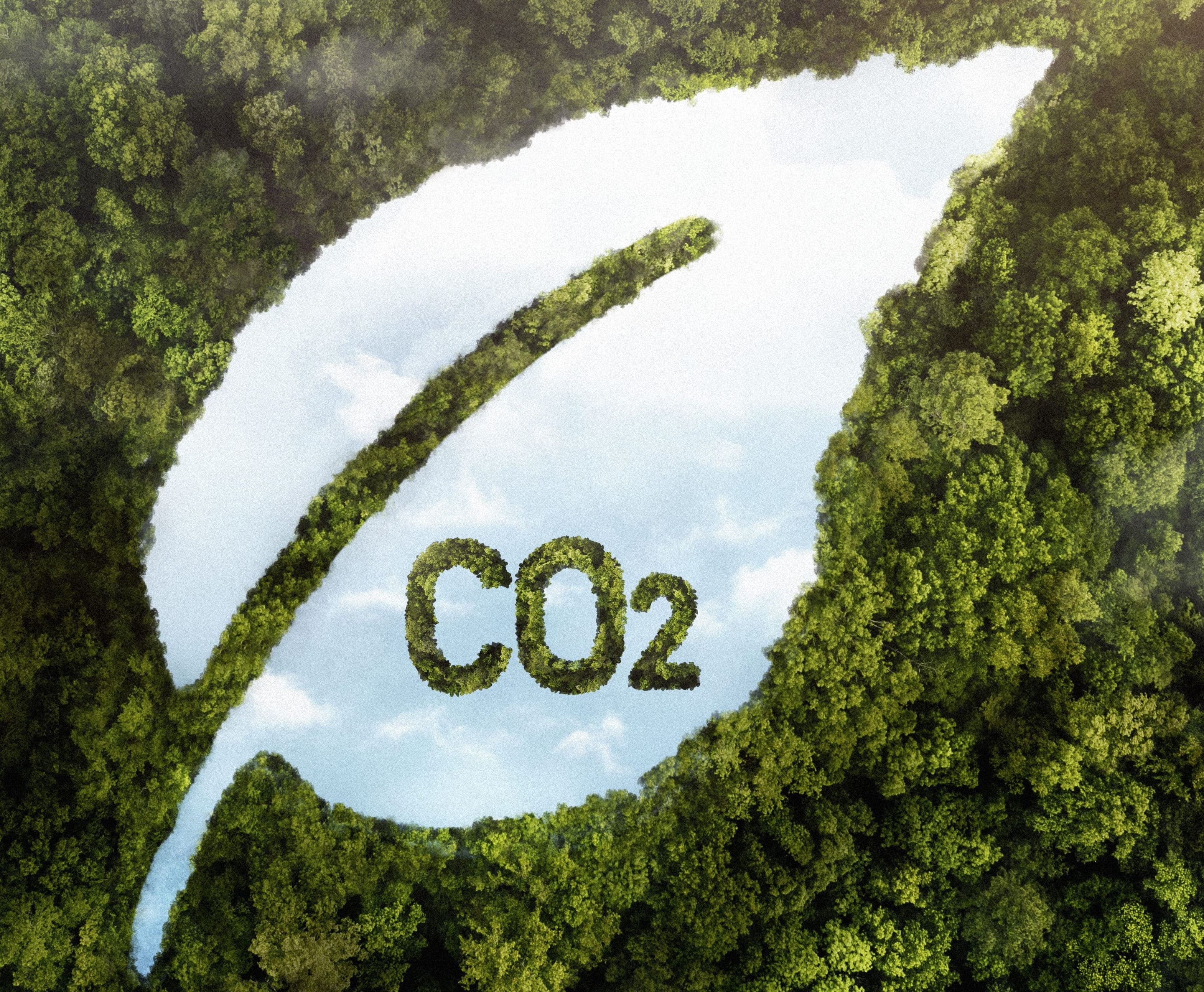 Feuille, CO2, environnement, décarbonation