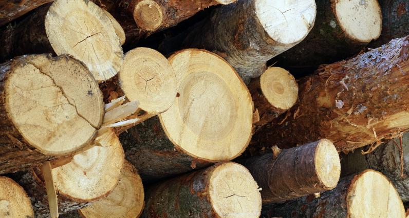 Pile de bois