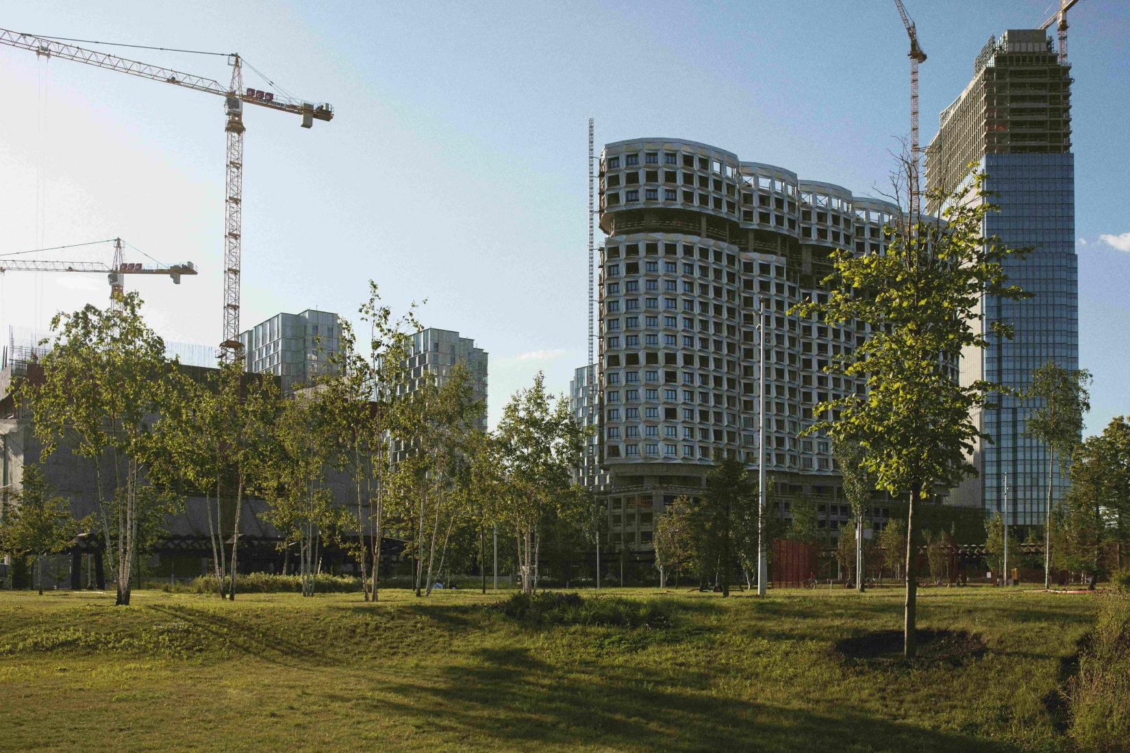 Construction, paysage, verdure, développement durable, grue, arbres