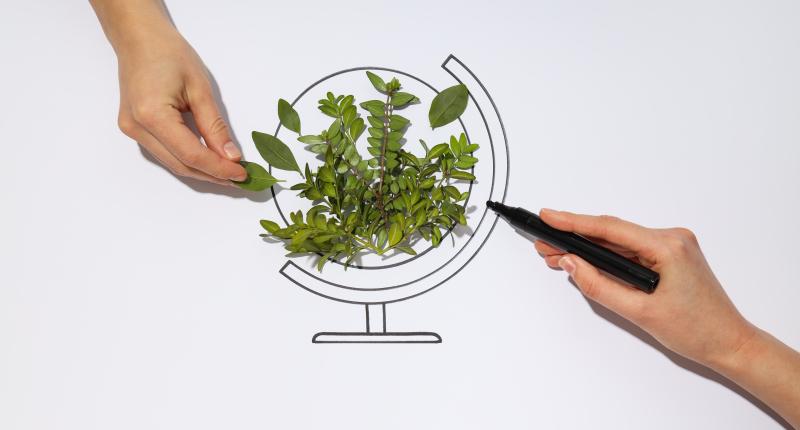 vert, taxonomie, énergie, environnement, image by atlascompany